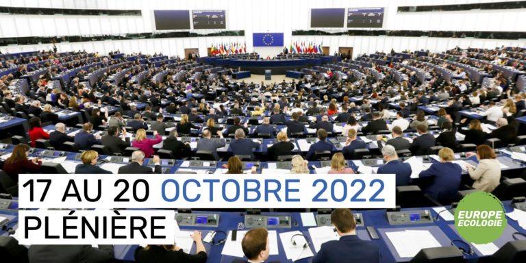 Plénière du 17 au 20 octobre 2022